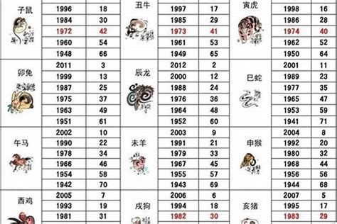 2012年属什么|2012年是什么生肖年 2012年出生的人属什么